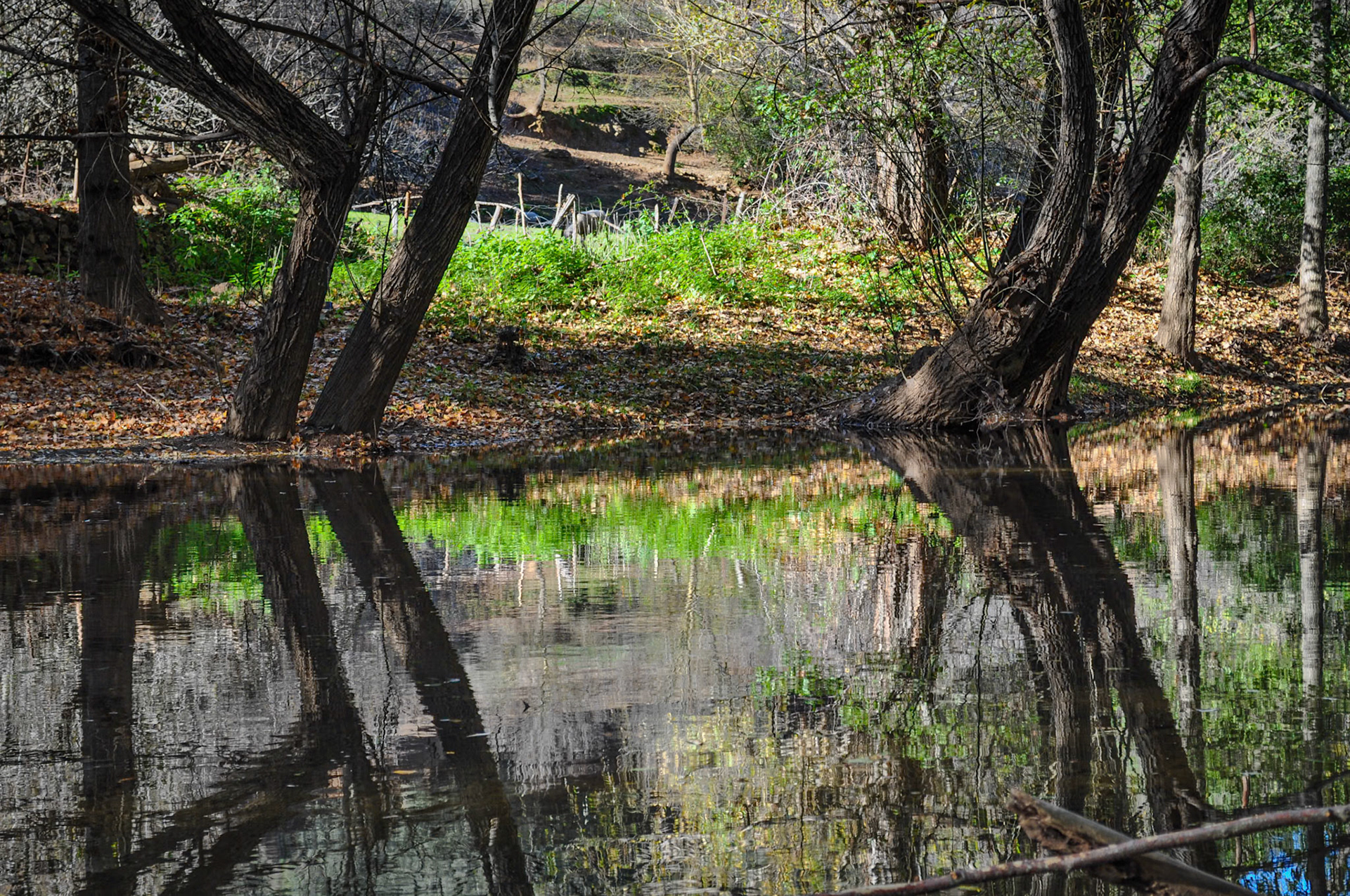 Sierra Norte de Sevilla