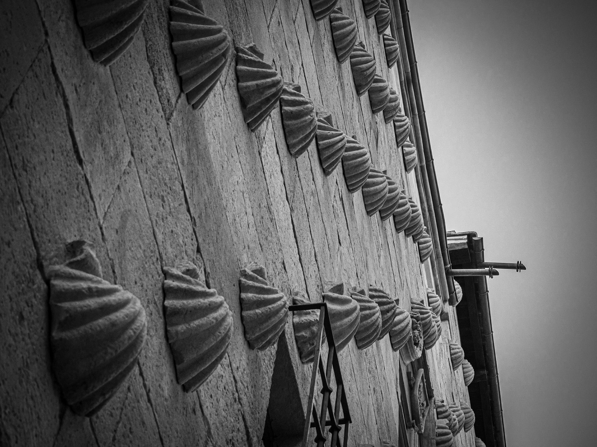 Casa de las Conchas. Salamanca