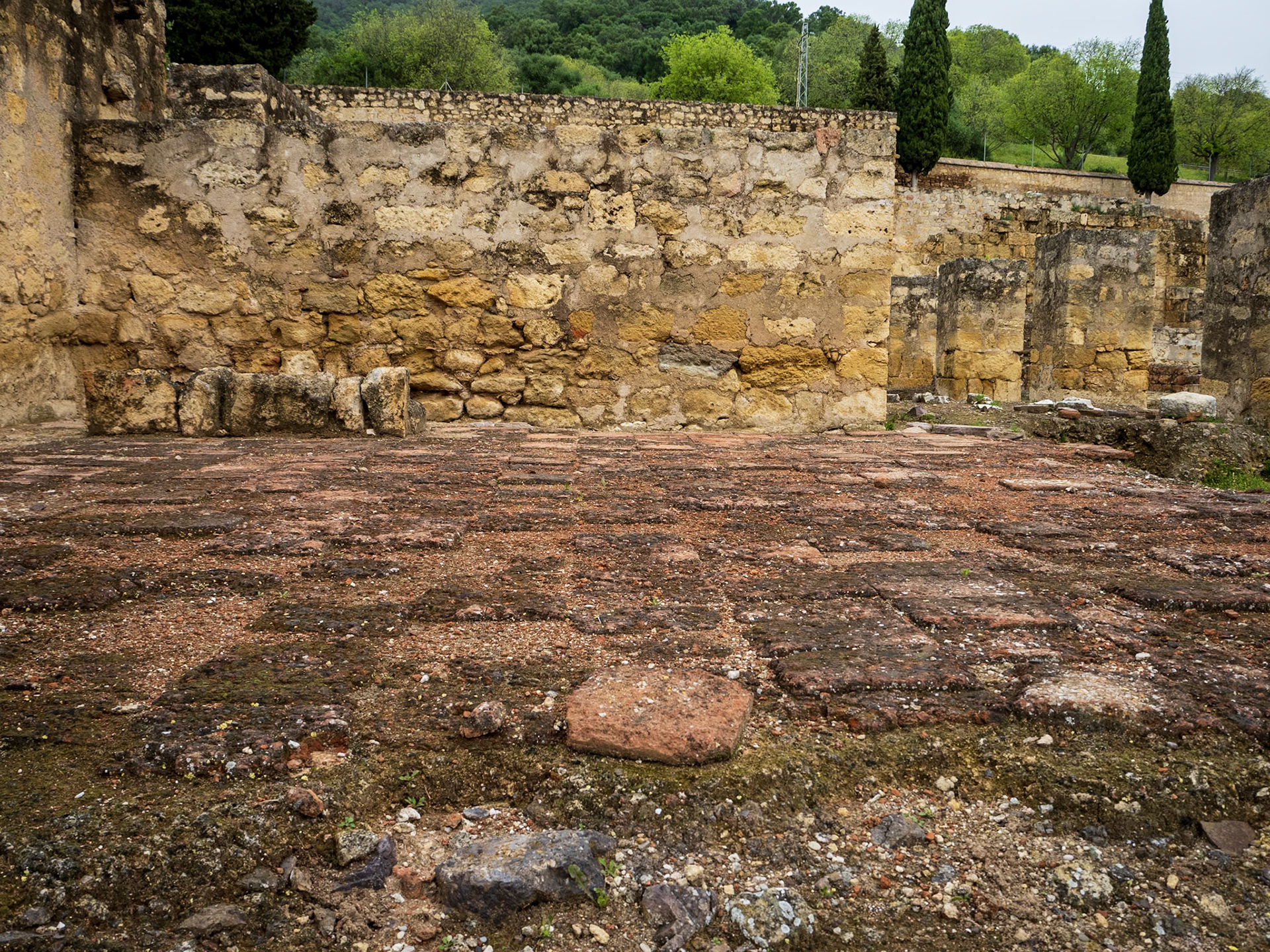 Visita a Medina Azahara