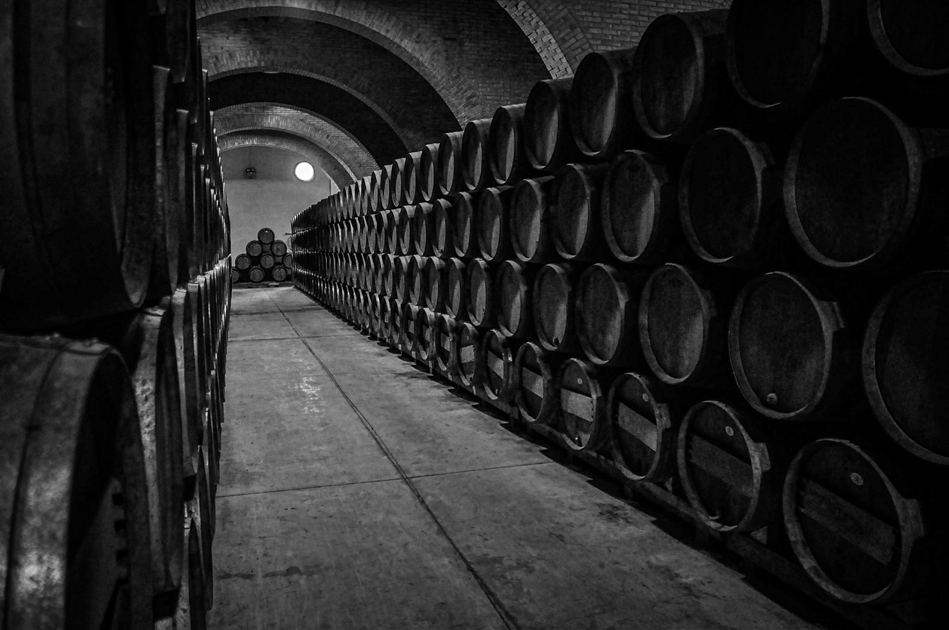 Bodegas Irache. Ayegui. Navarra