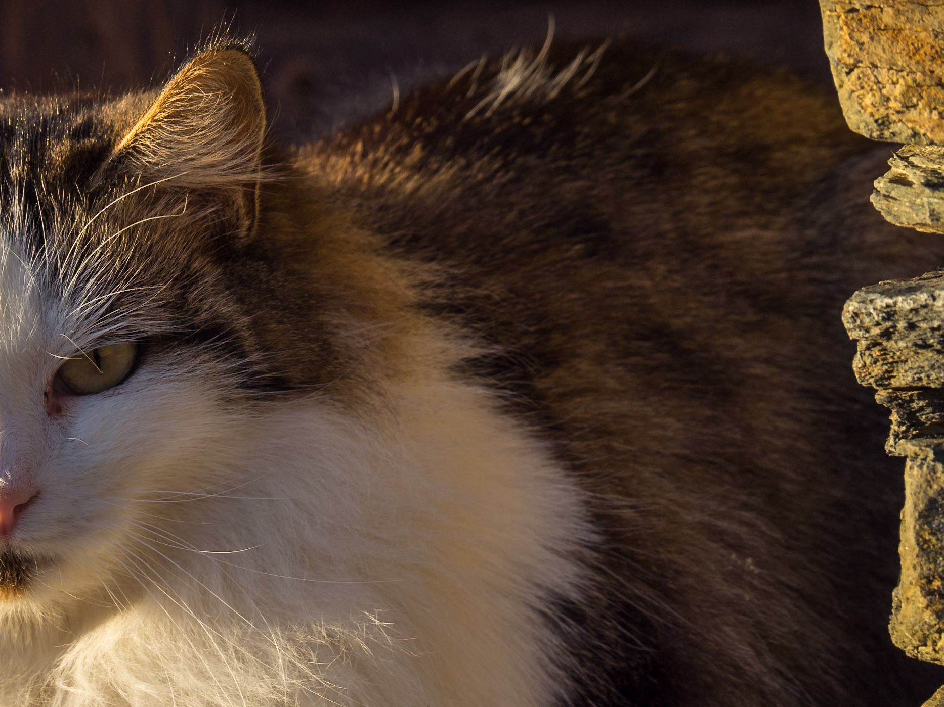 Ruta de la arquitectura negra. Guadalajara
