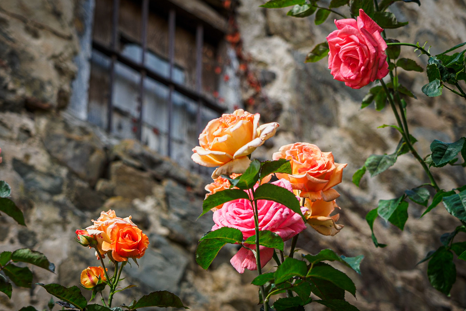 Villoslada de Cameros