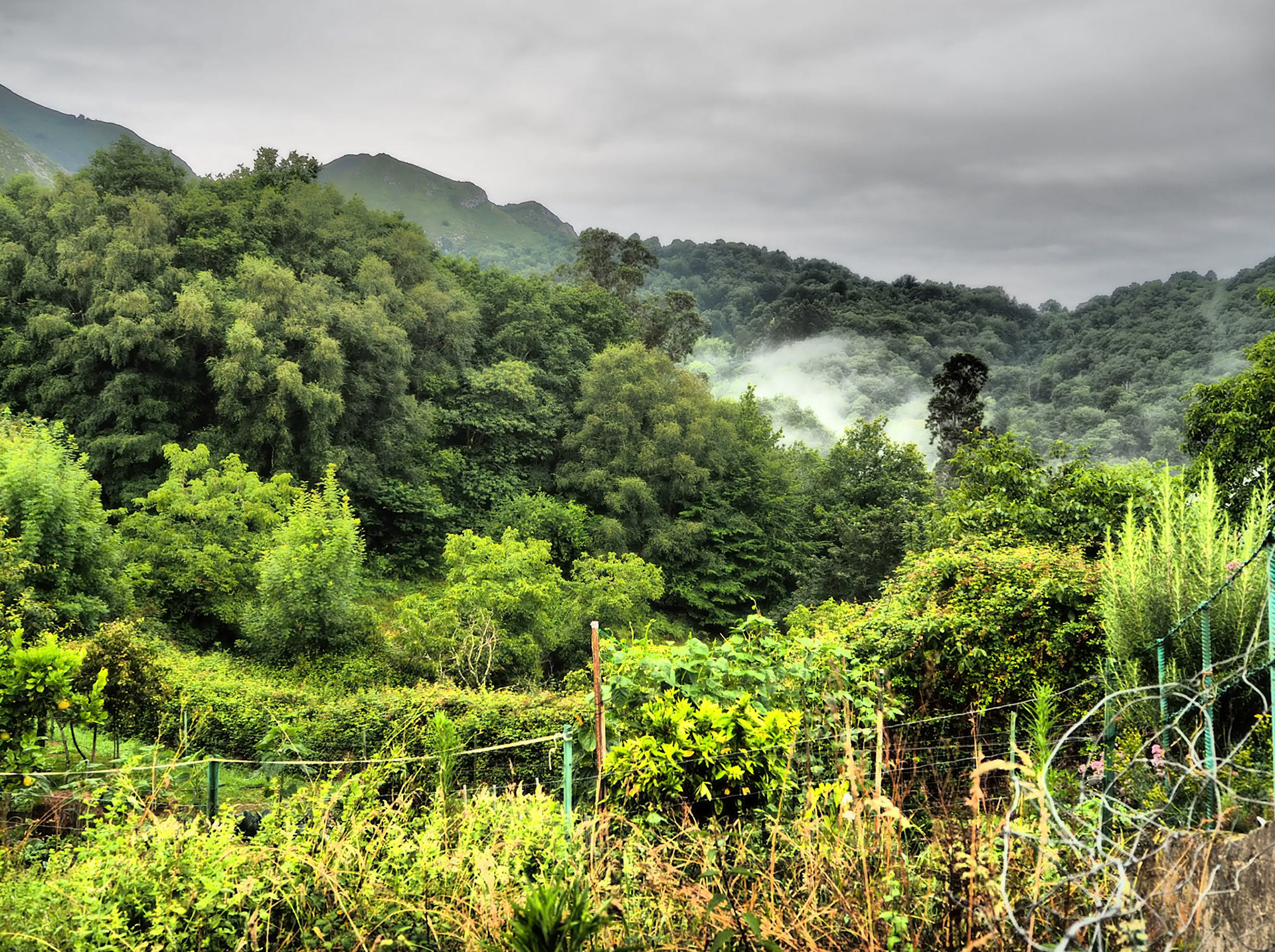 San Martín (Infiesto). Asturias
