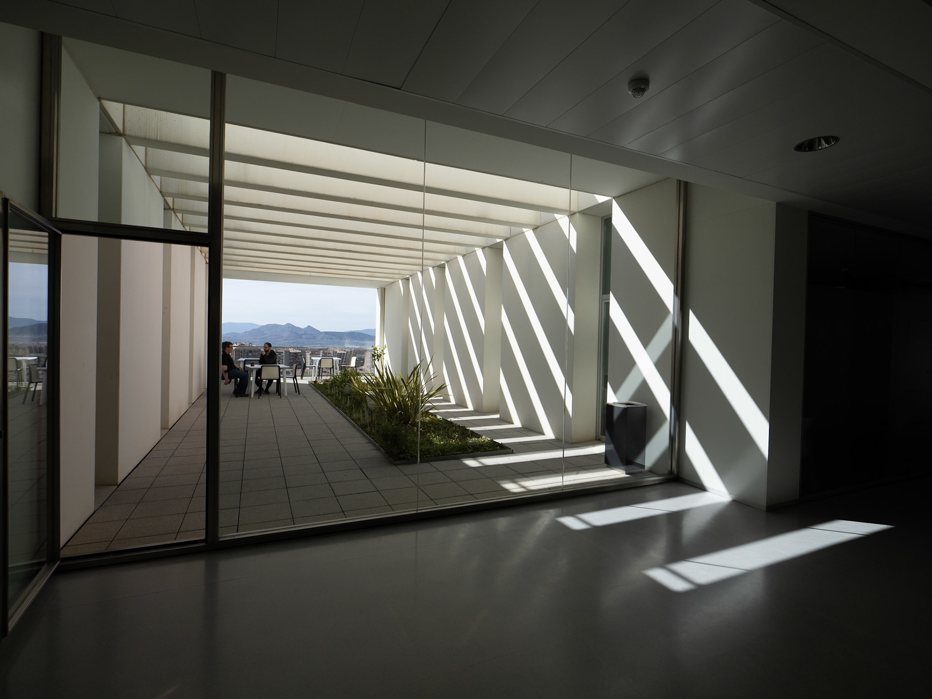 Centro de Investigación mente, cerebro y comportamiento