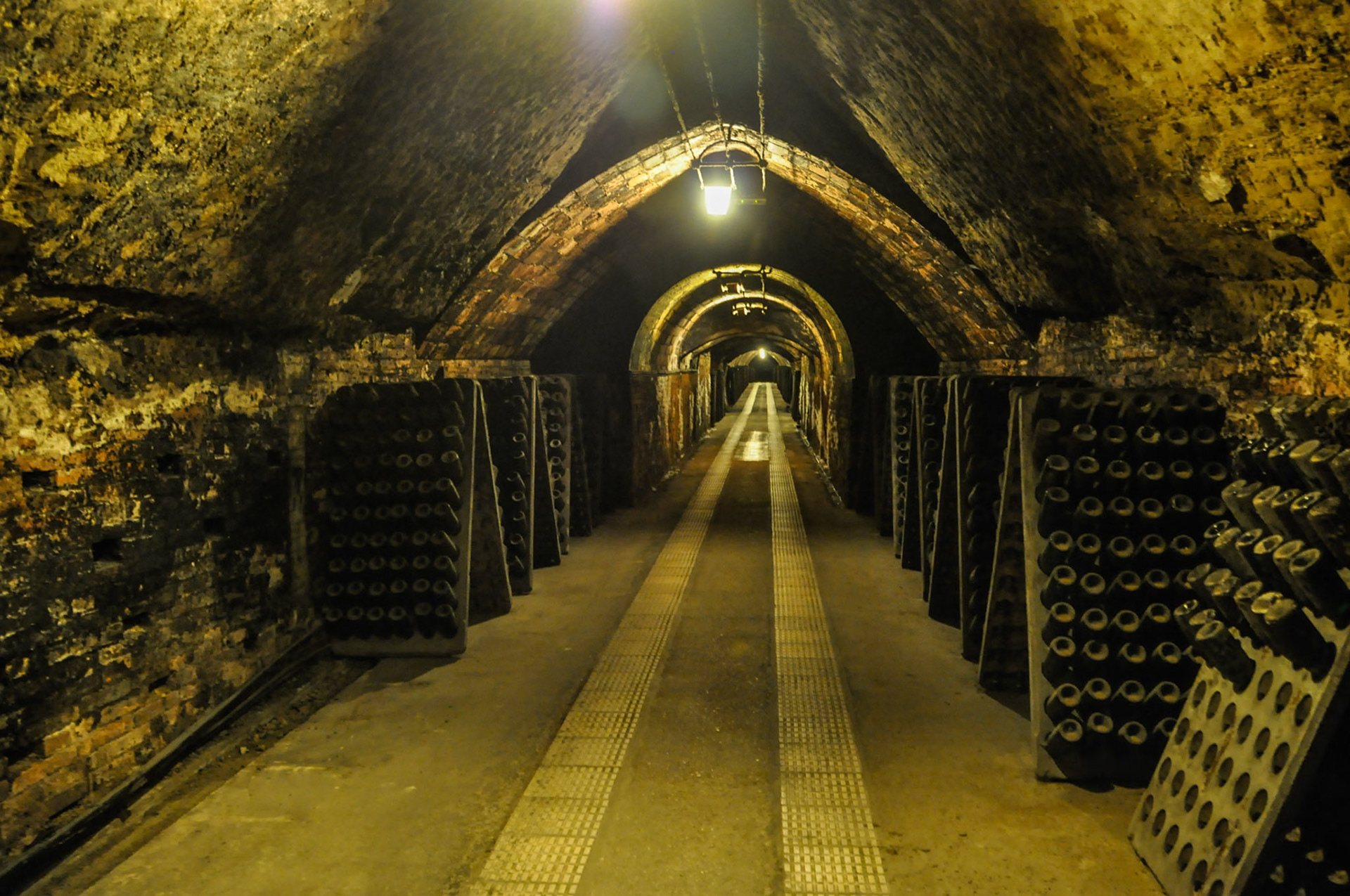 Bodegas Codorniu. Sant Sadurni d'Anoia.