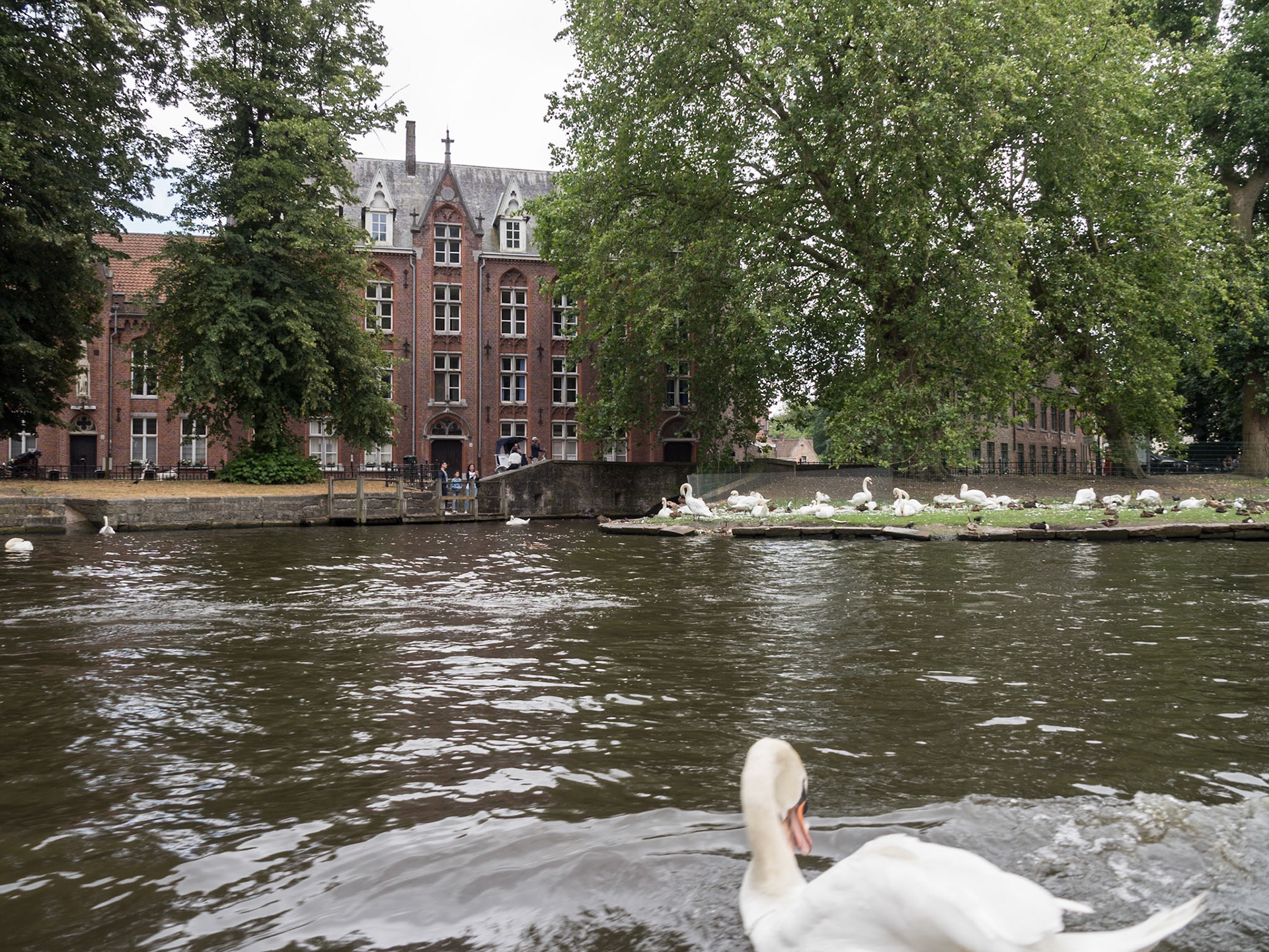 Por los canales de Brujas