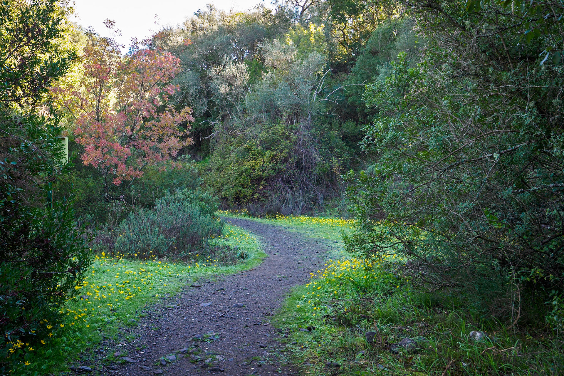 Ruta de las Pasarelas del Genal