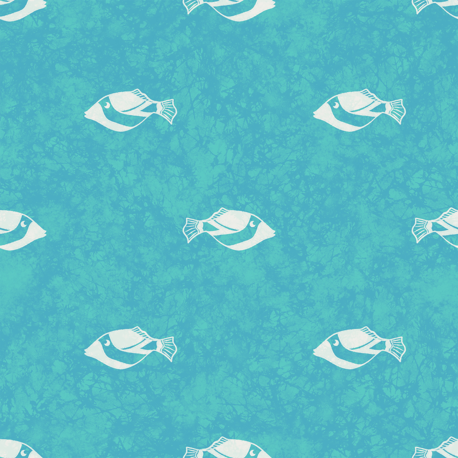 Fishies in Hanauma Bay 001-3A