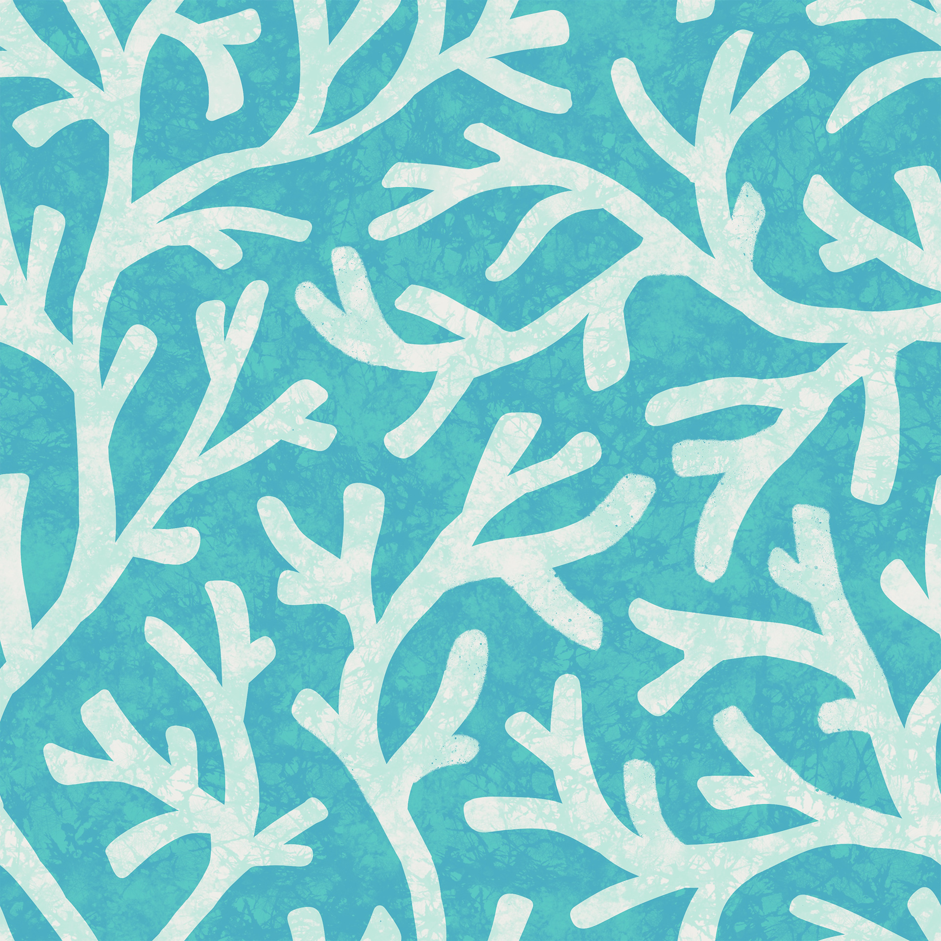 Coral in Hanauma Bay 001-2A