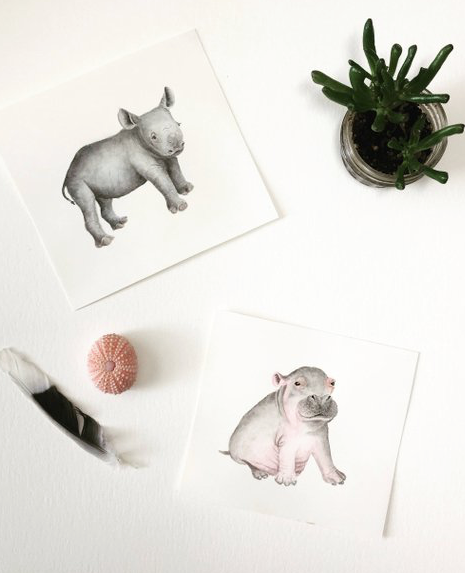 hippo and rhino