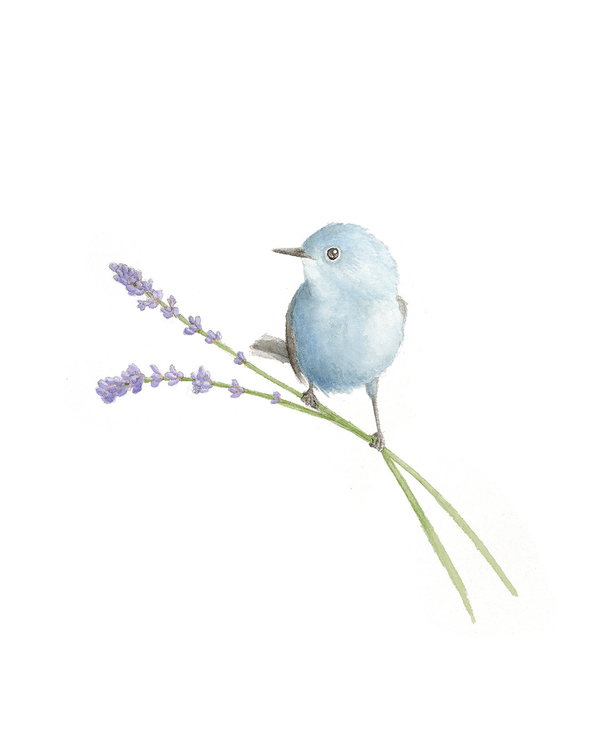 bird on lavender