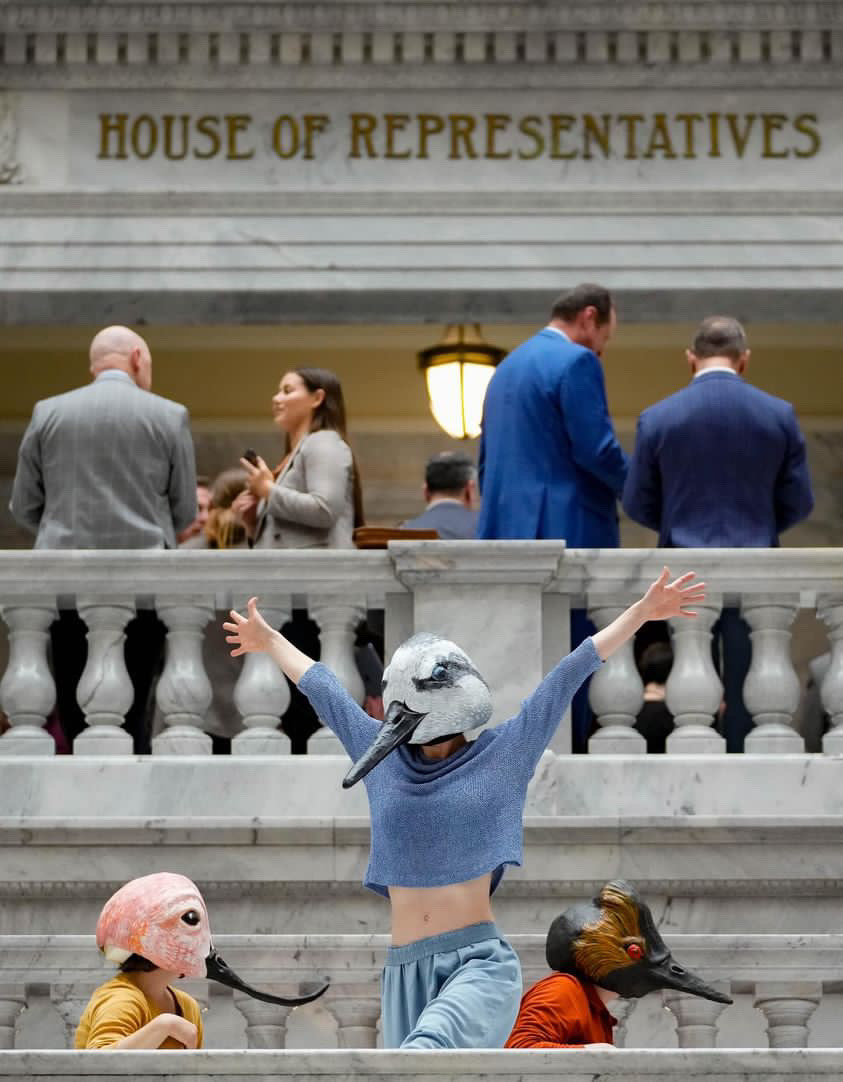 A 2024 collaborative performance piece made with Great Salt Lake, Bryn Watkins, and Rae Luebbert. This work brought three species into the Utah legislative session. Photo by Fransisco Kjolseth. Masks by String and Shadow.