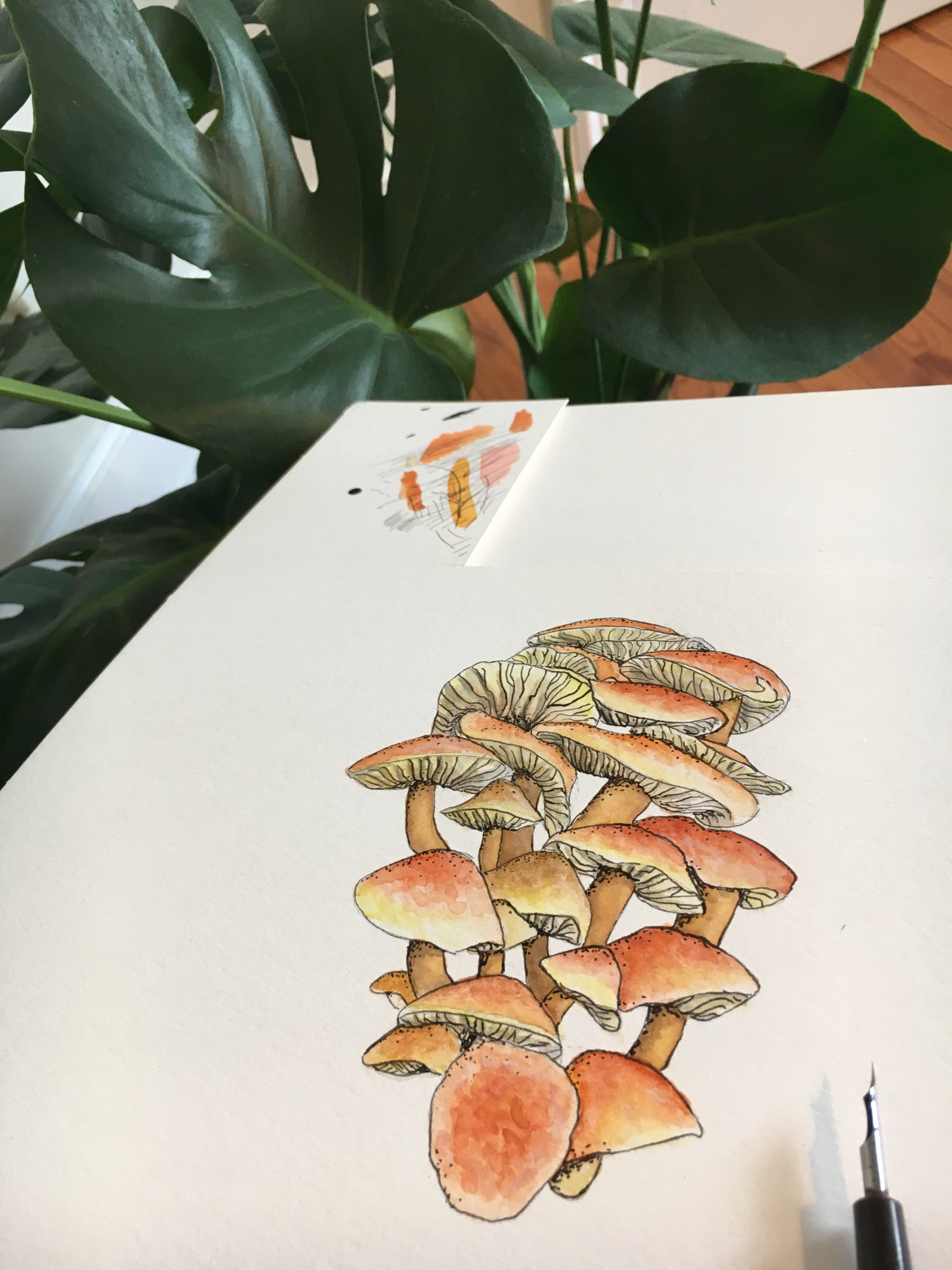 mushroom process