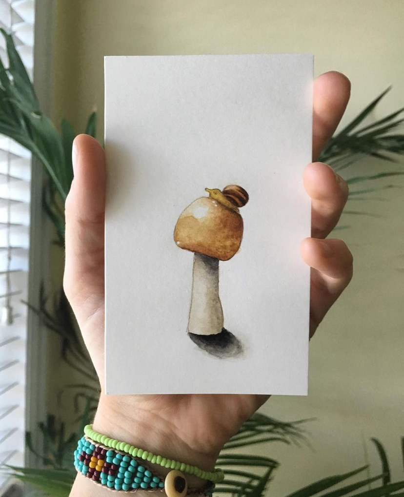 snail on mushroom