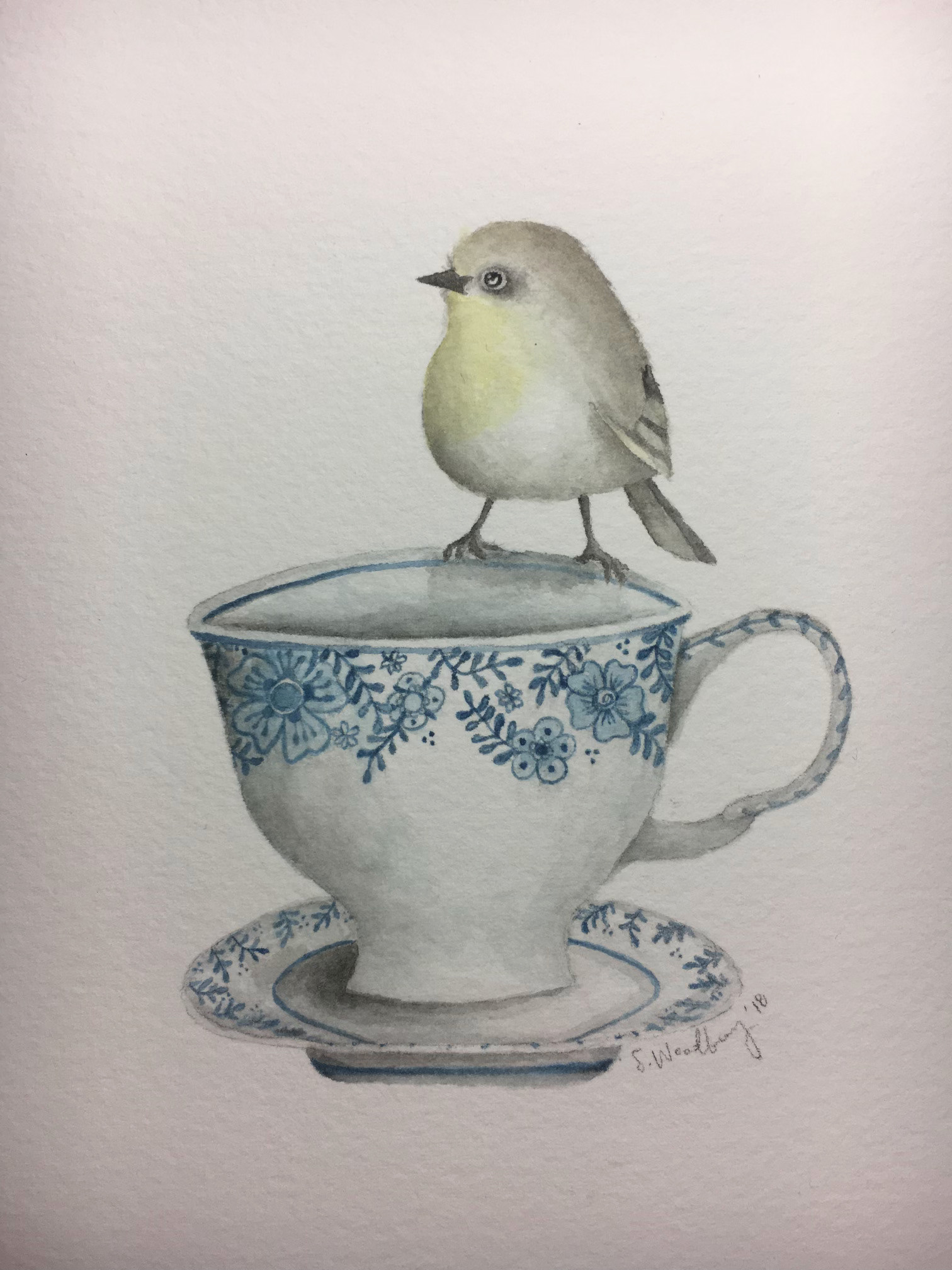 bird on teacup