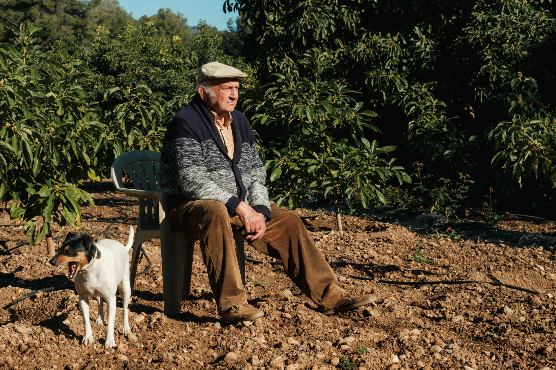 ein alter Mann sitzt im Garten mit Hund