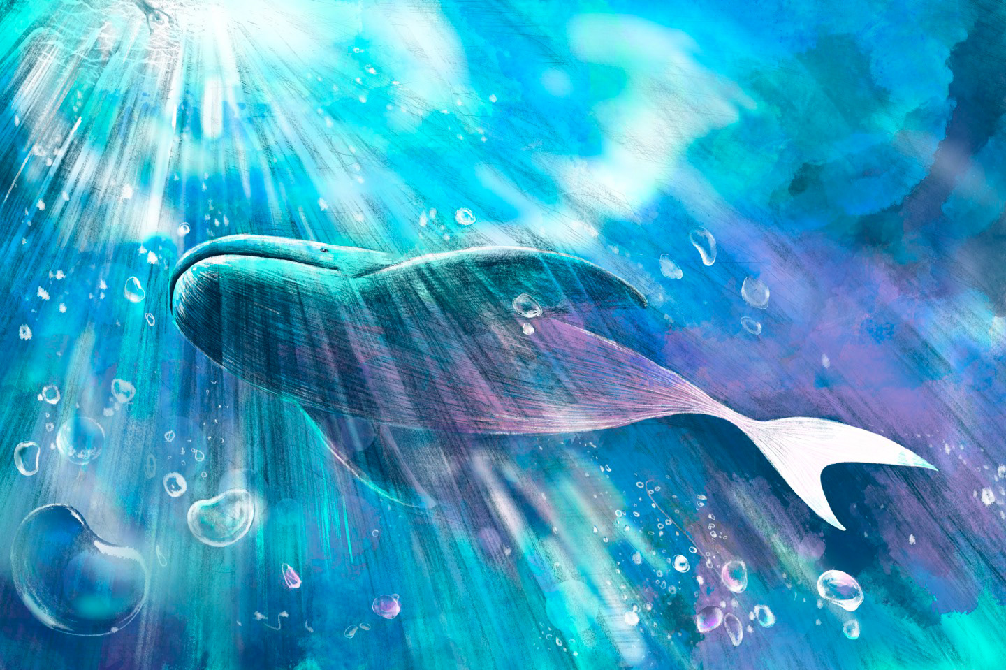 Whale (2021)