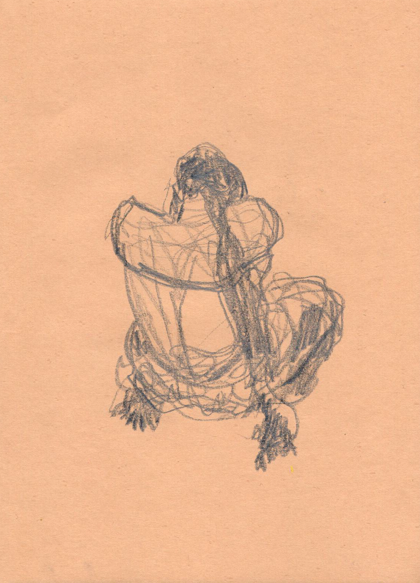 Croquis 04 (2024)
