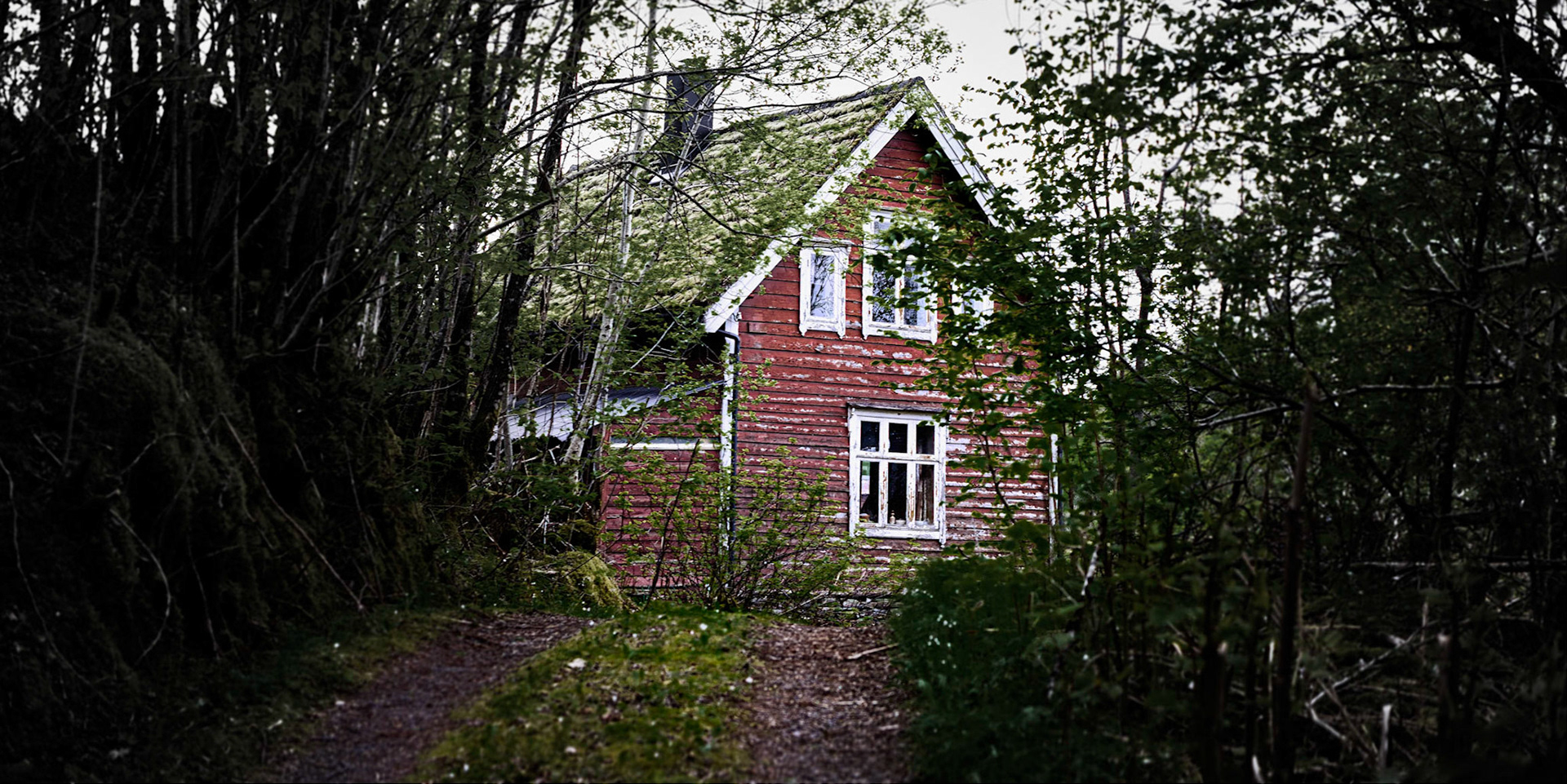 Anamorphic Series no 12