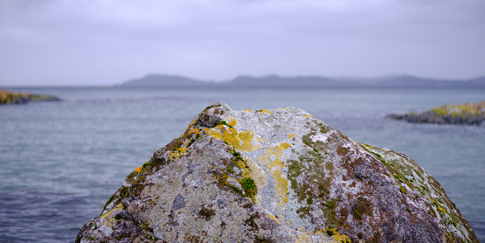 Anamorphic series no 25