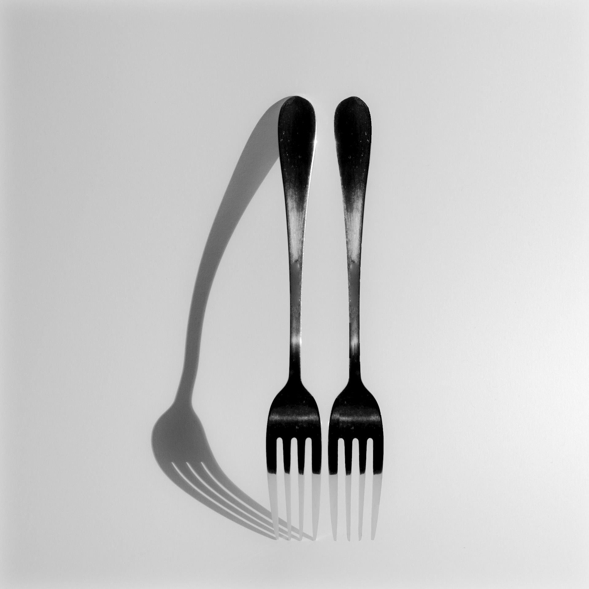 Fork series II