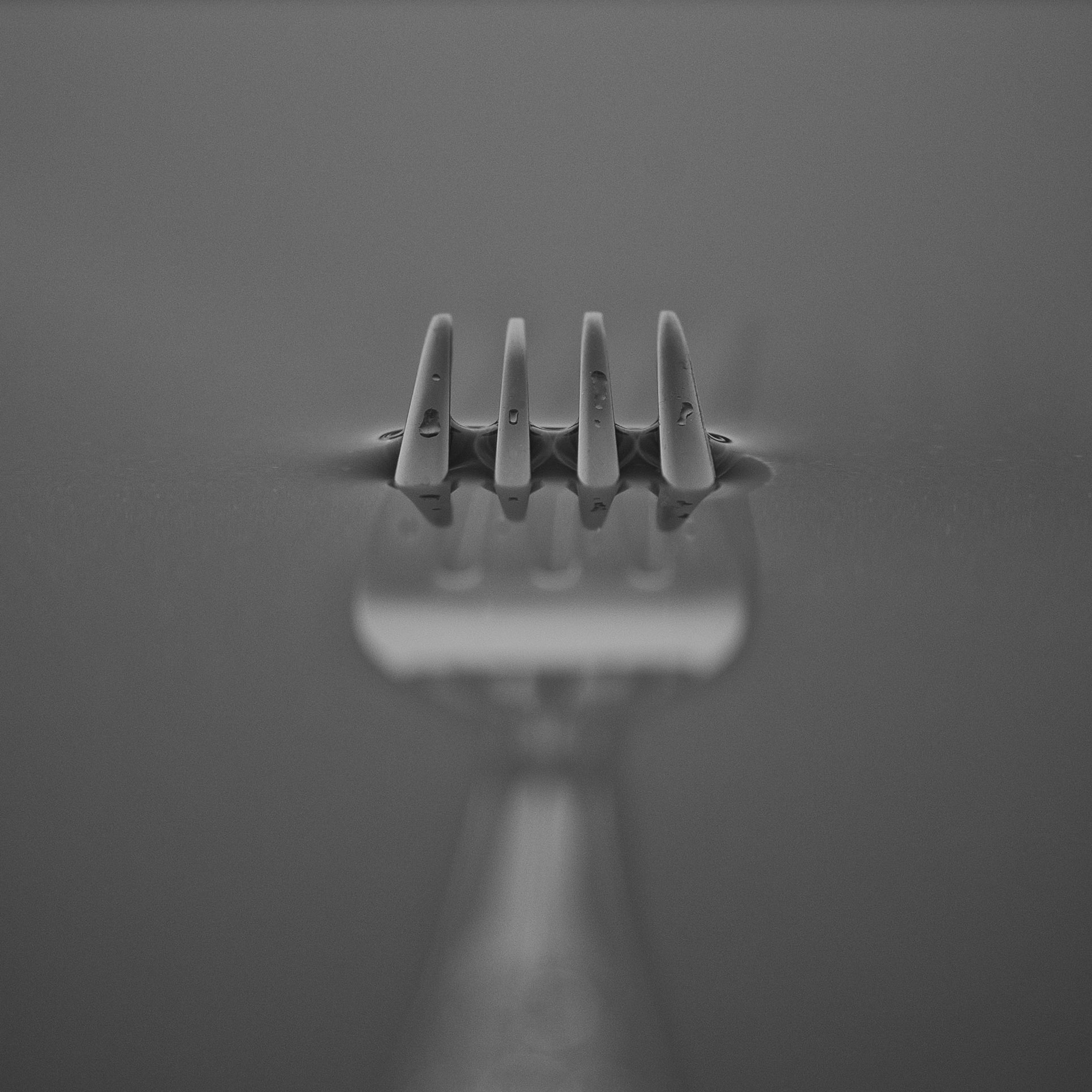 Wet fork - B&amp;W version
