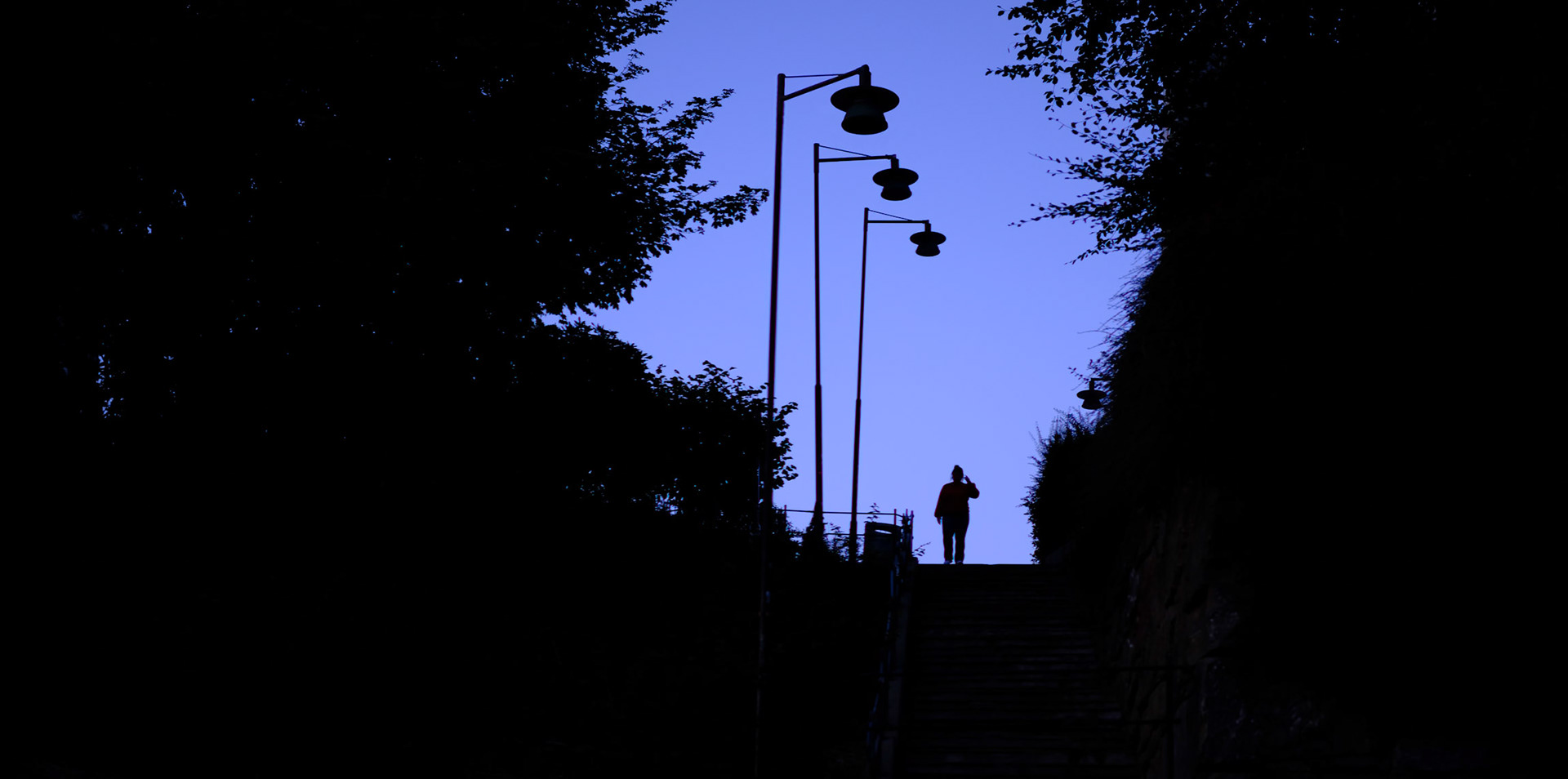 Anamorpic series no 21