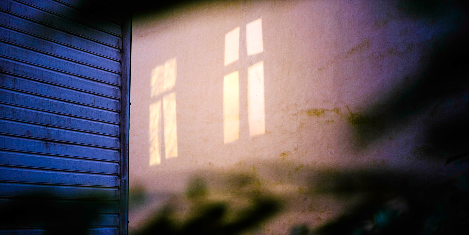 Afternoon window reflection