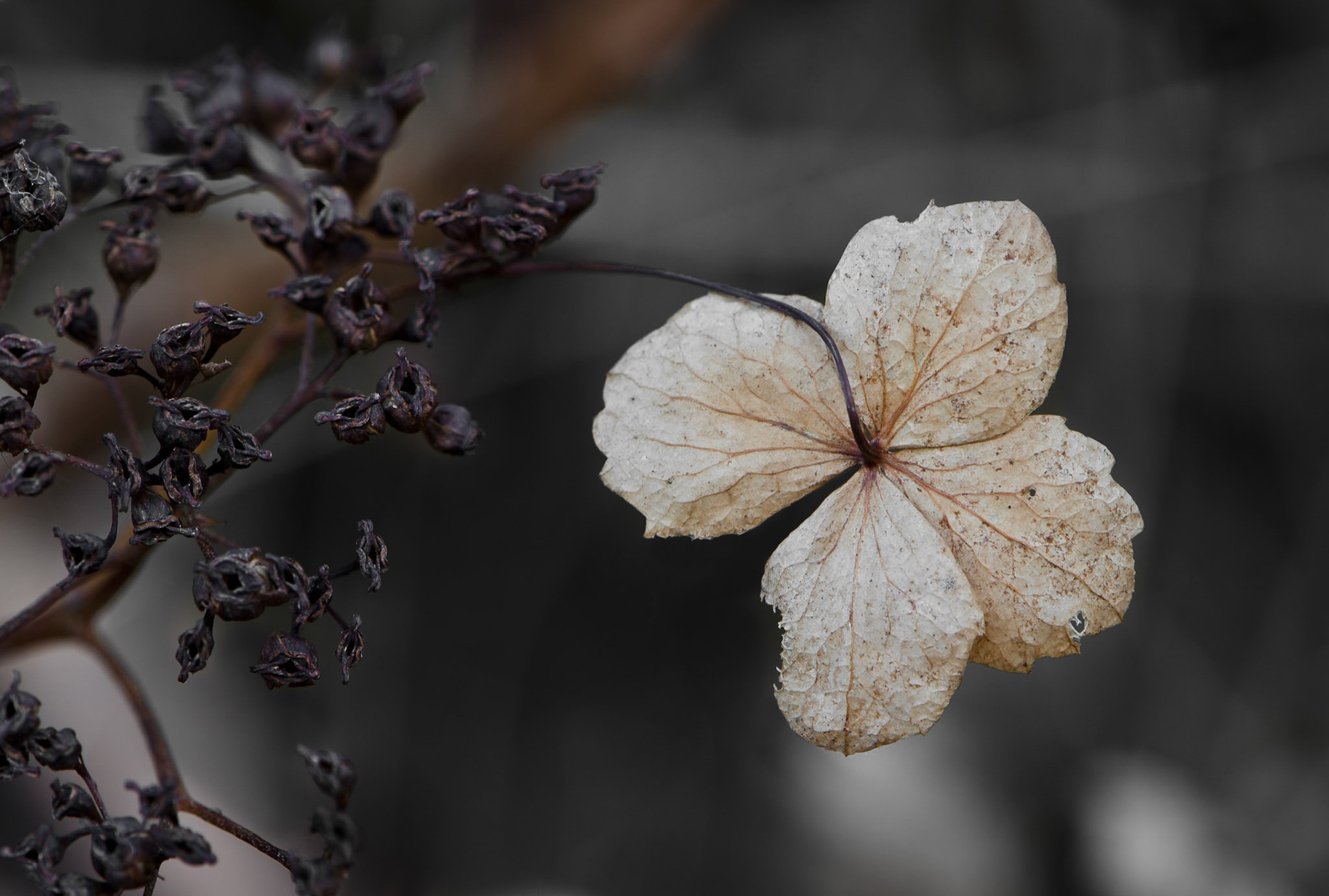 "The beauty of autumn"