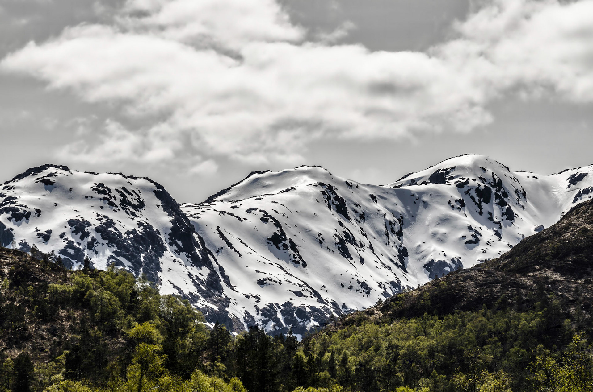 Vår på gullfjellet