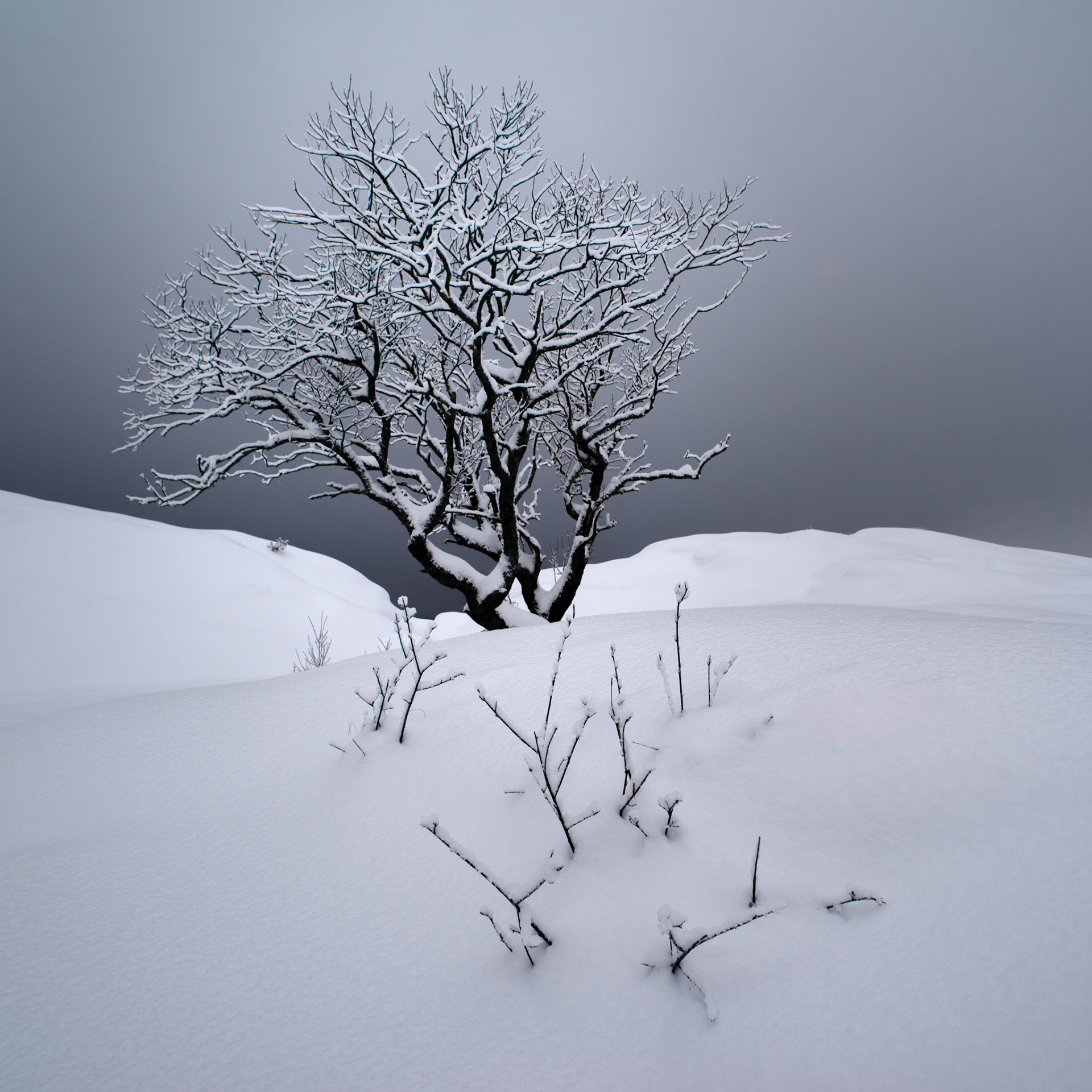 Winter view at Fredheim