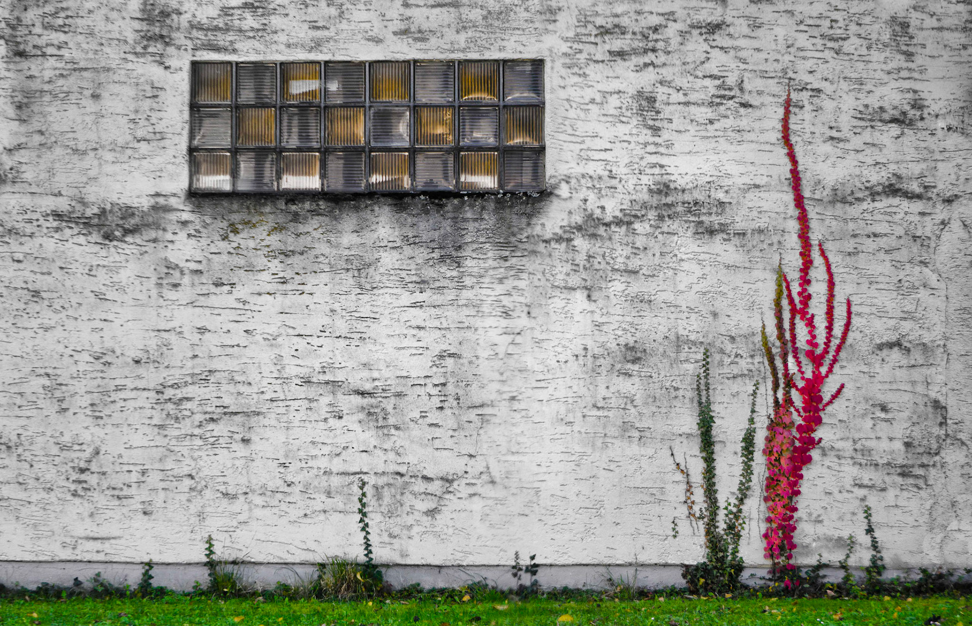 The wall2014 - Os fotoklubb, Spring, paper, Bronze medal