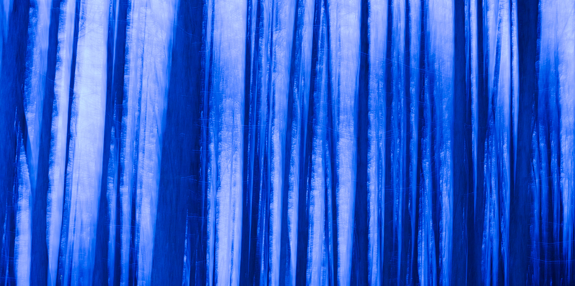 Anamorphic Series No I