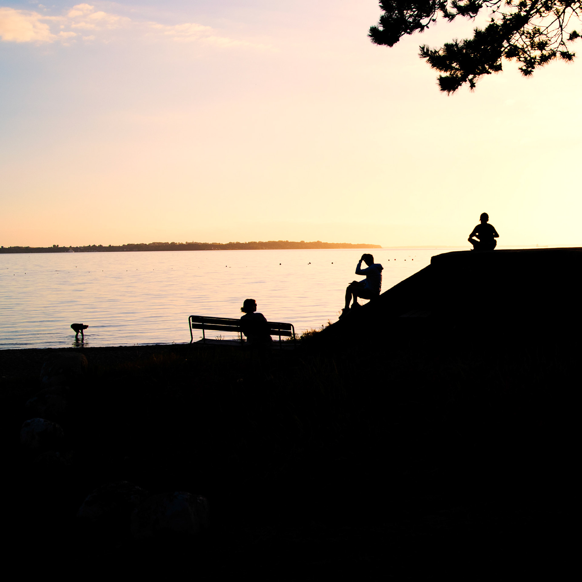 Summerview by Øresund