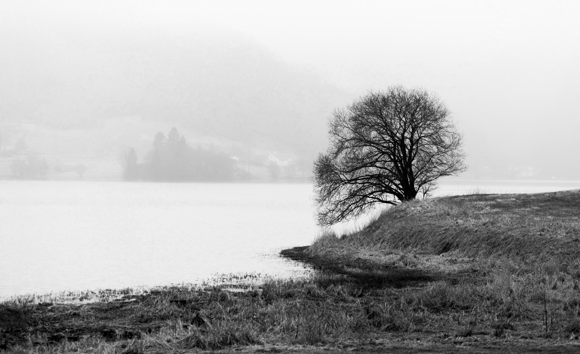 Tre ved Kalandsvannet