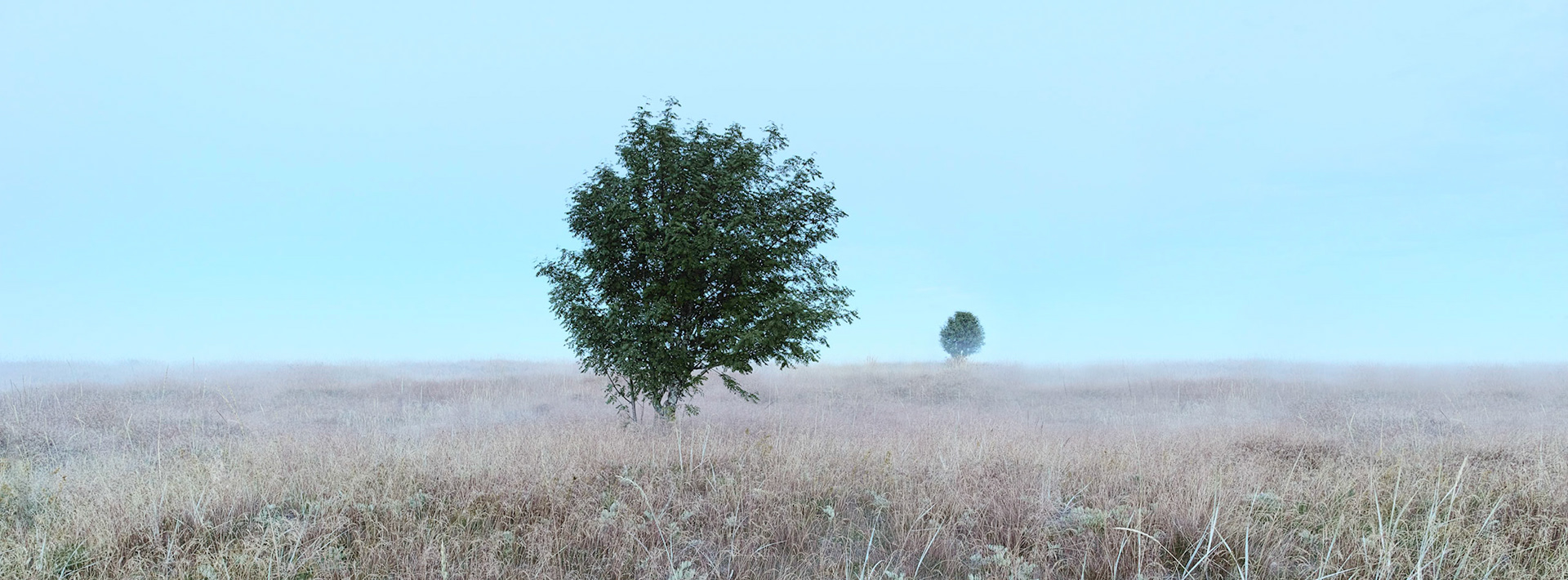 Hölik naturreservat