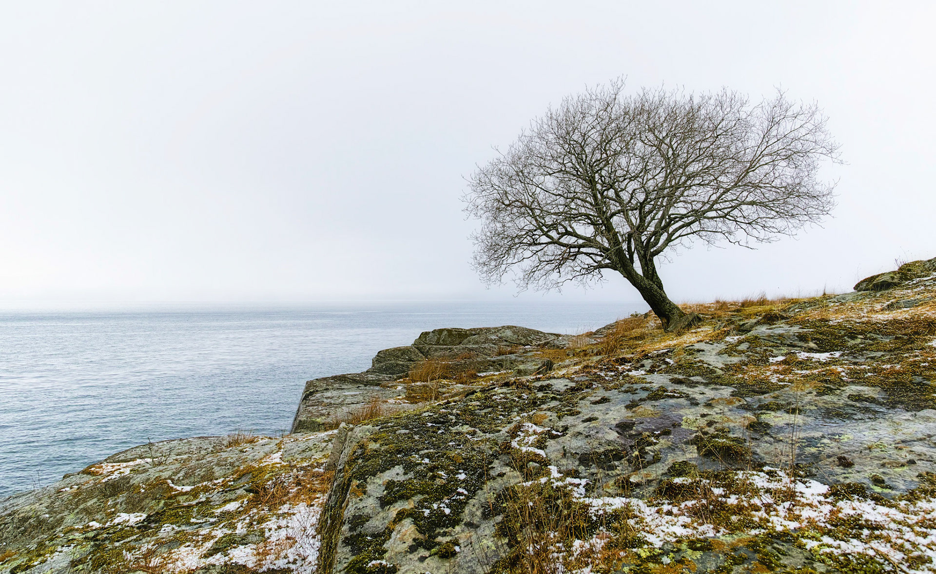 Skjørsand, Fusa, Hordaland, Norway, Sigma DP0Q