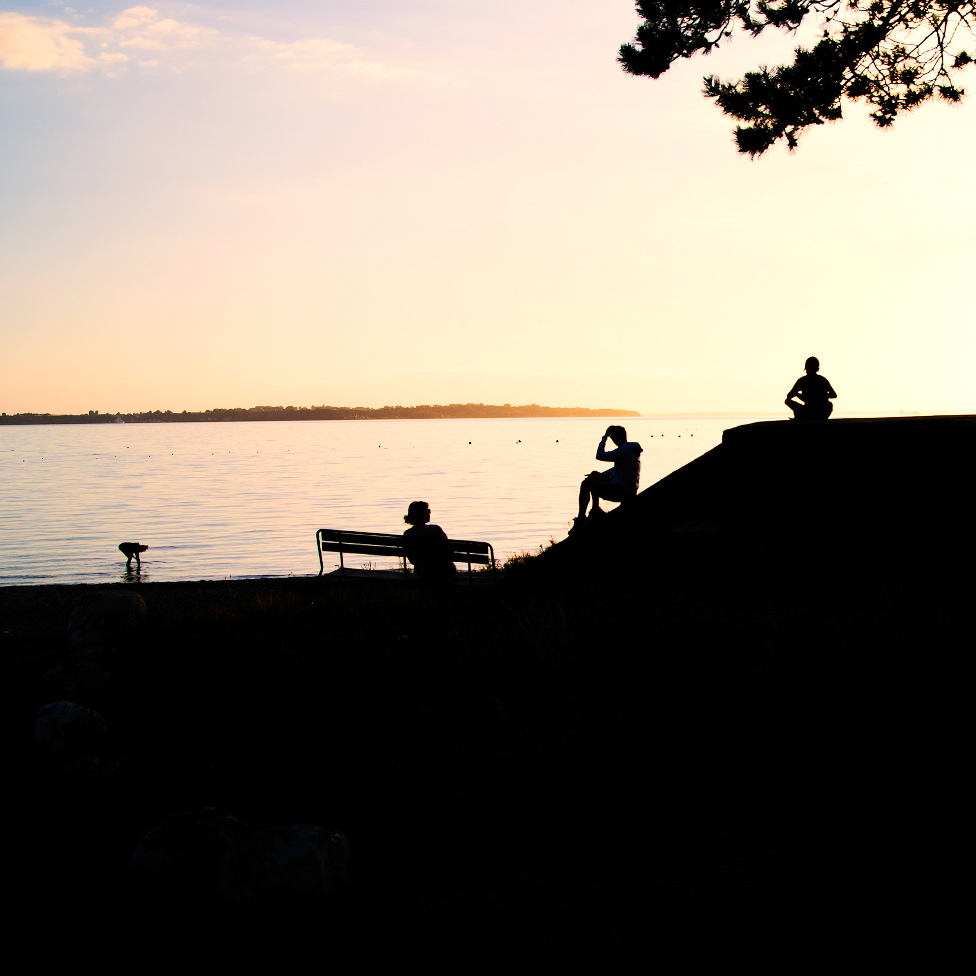 Summerview by Øresund