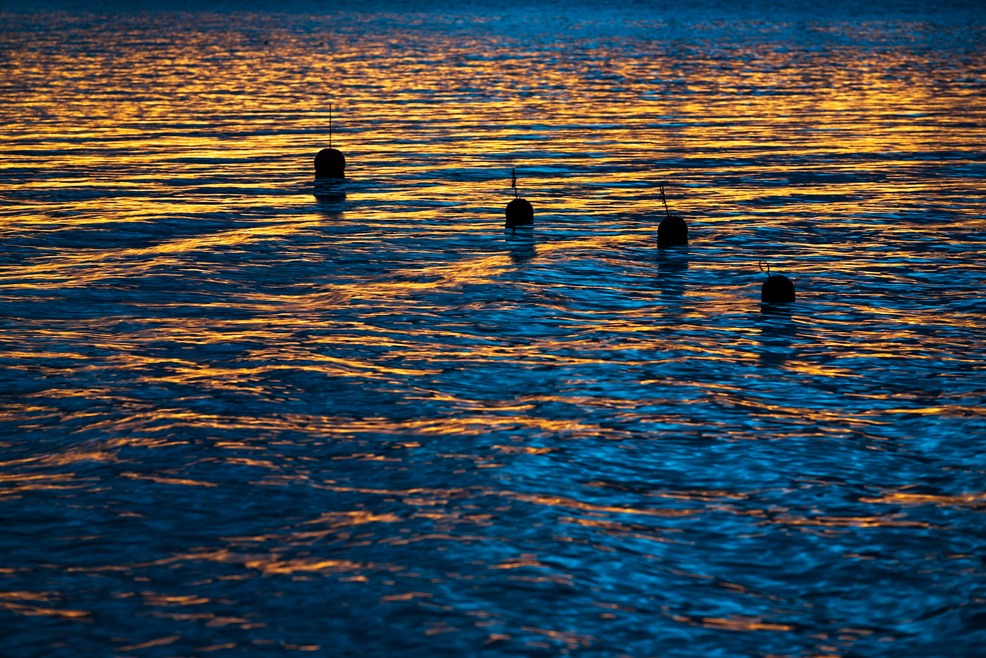 Blåser i fargespill