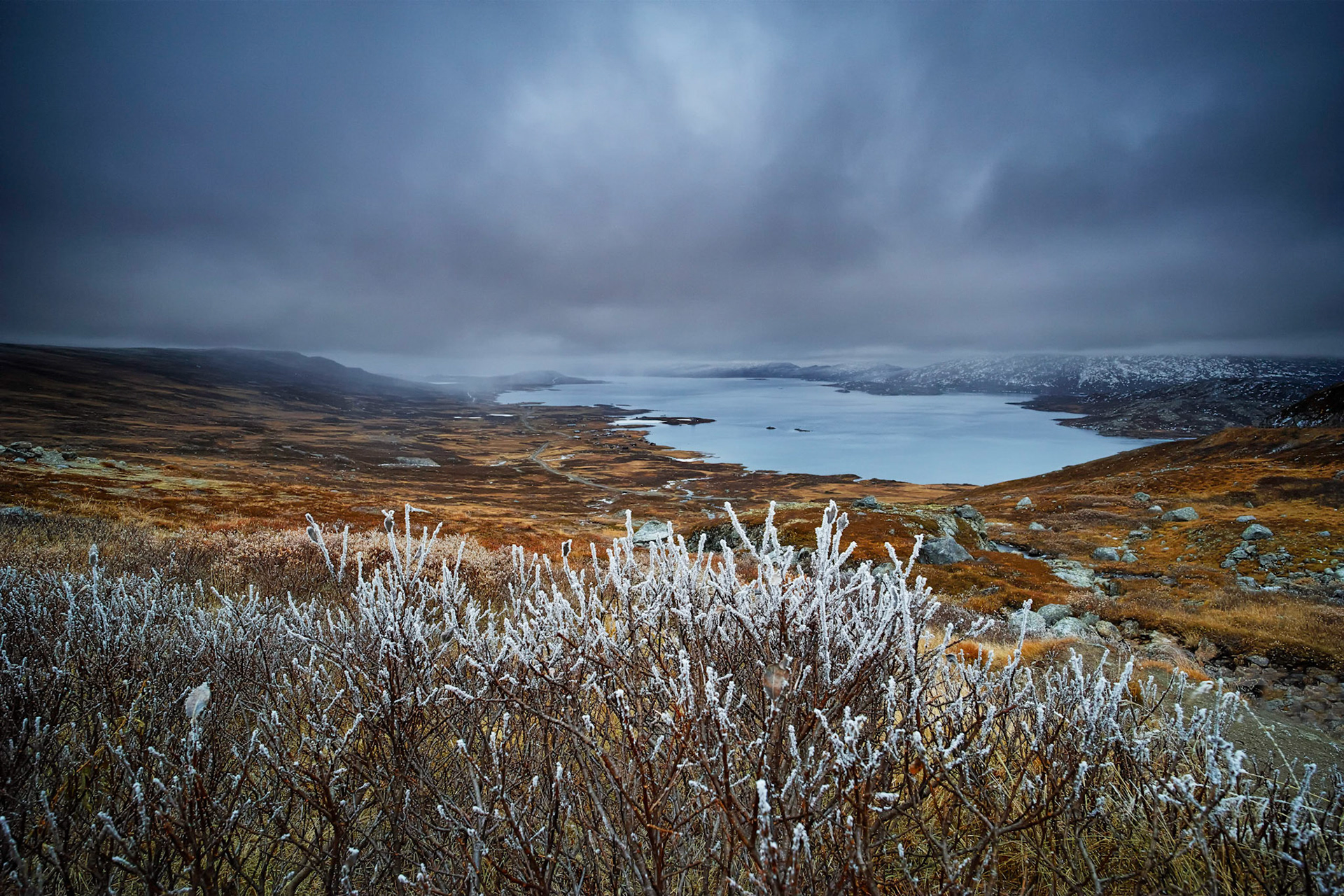 Valdresflya by Vinstre