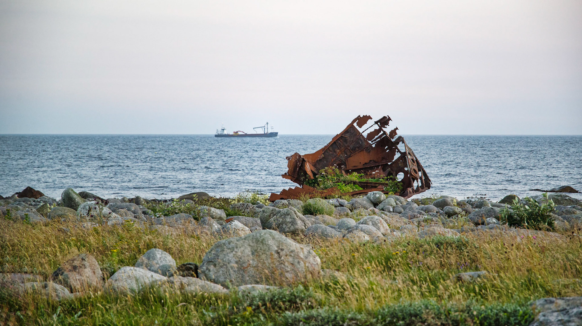 Coastline series no VIII