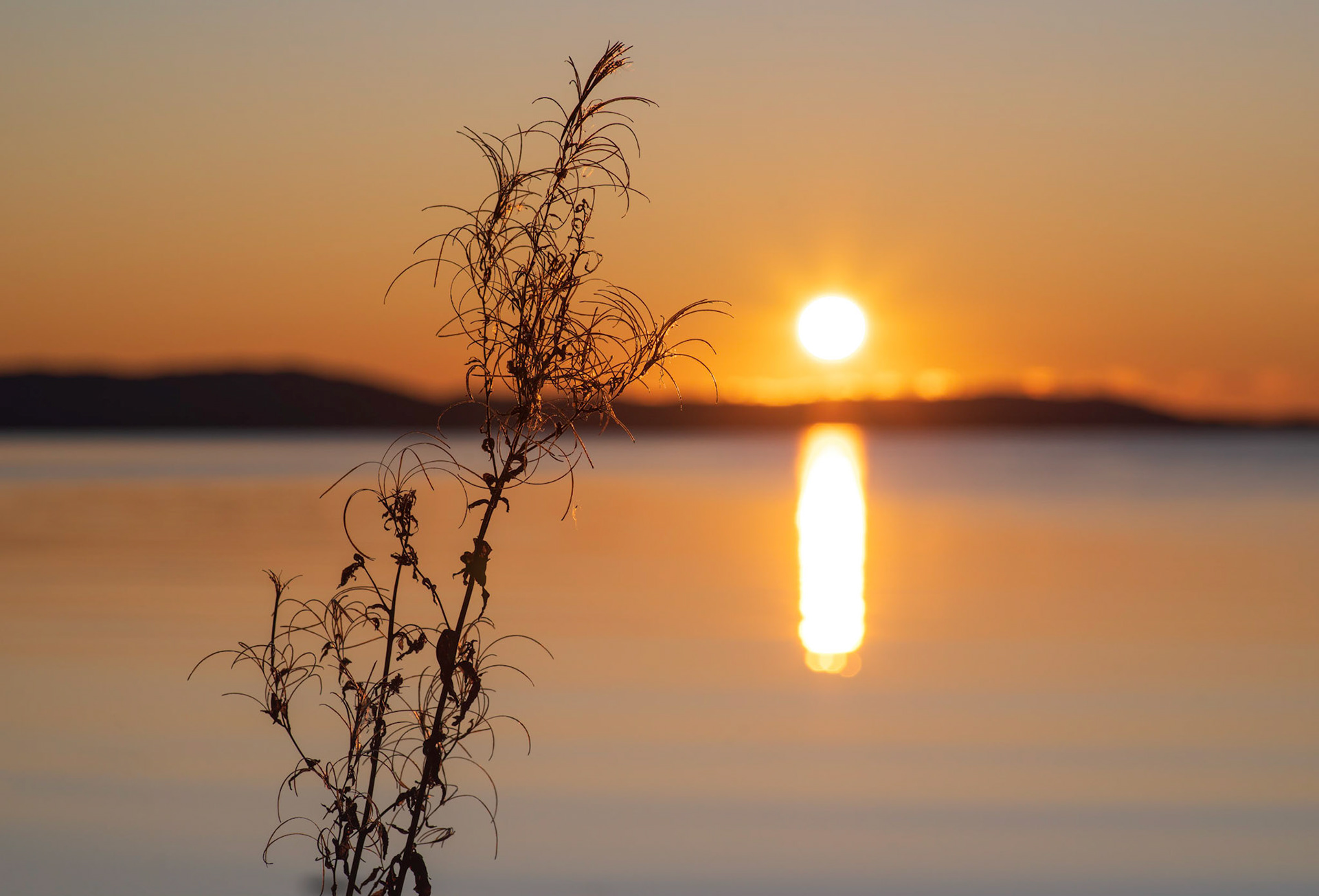 Kveldsstund ved sjøen