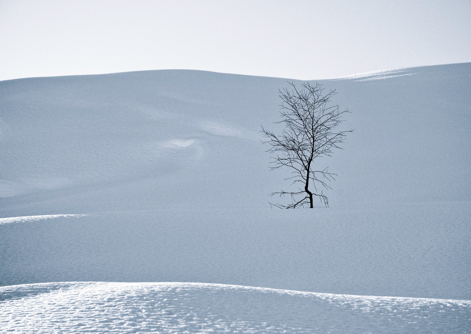 Beautyful solitude II