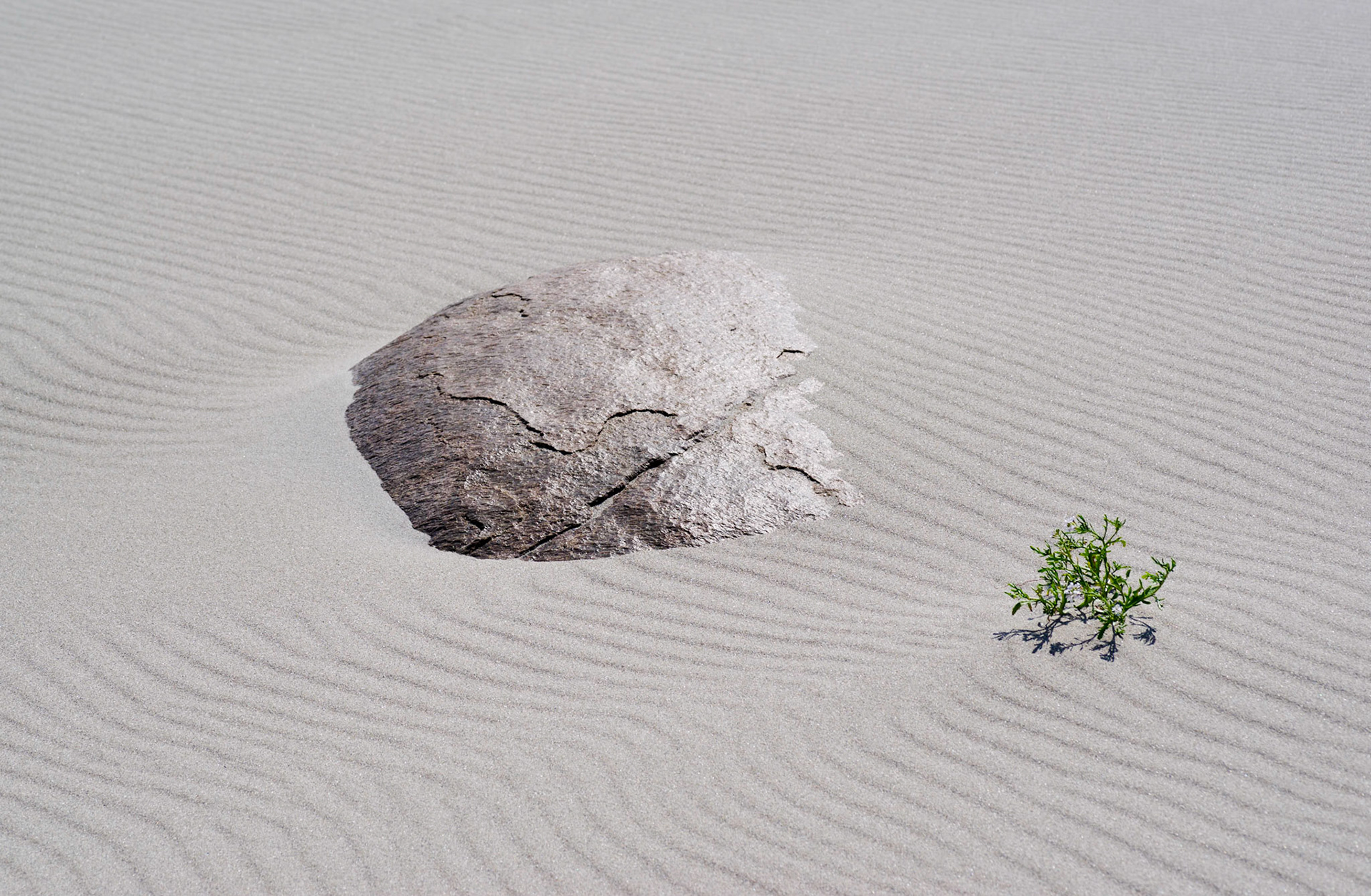 coastline series no. IX