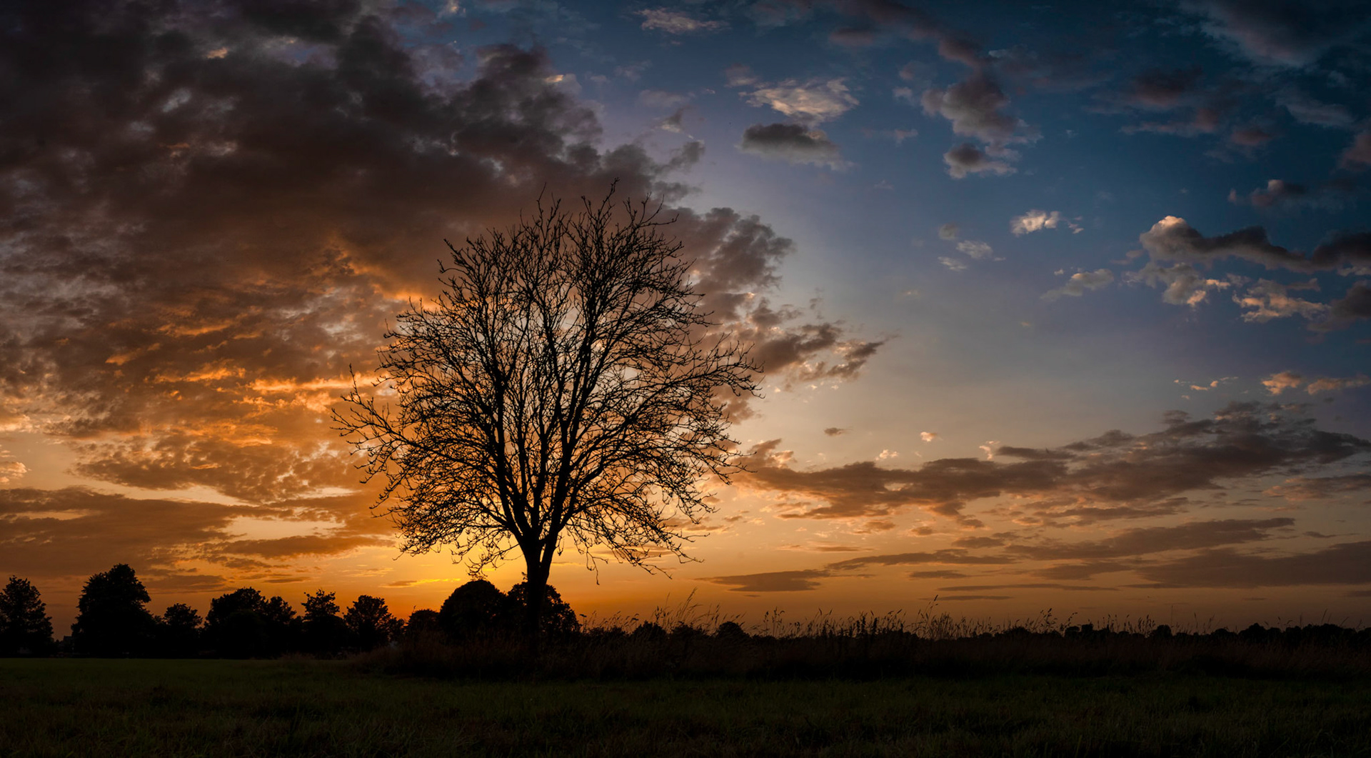 Sunset at Warmgate stray