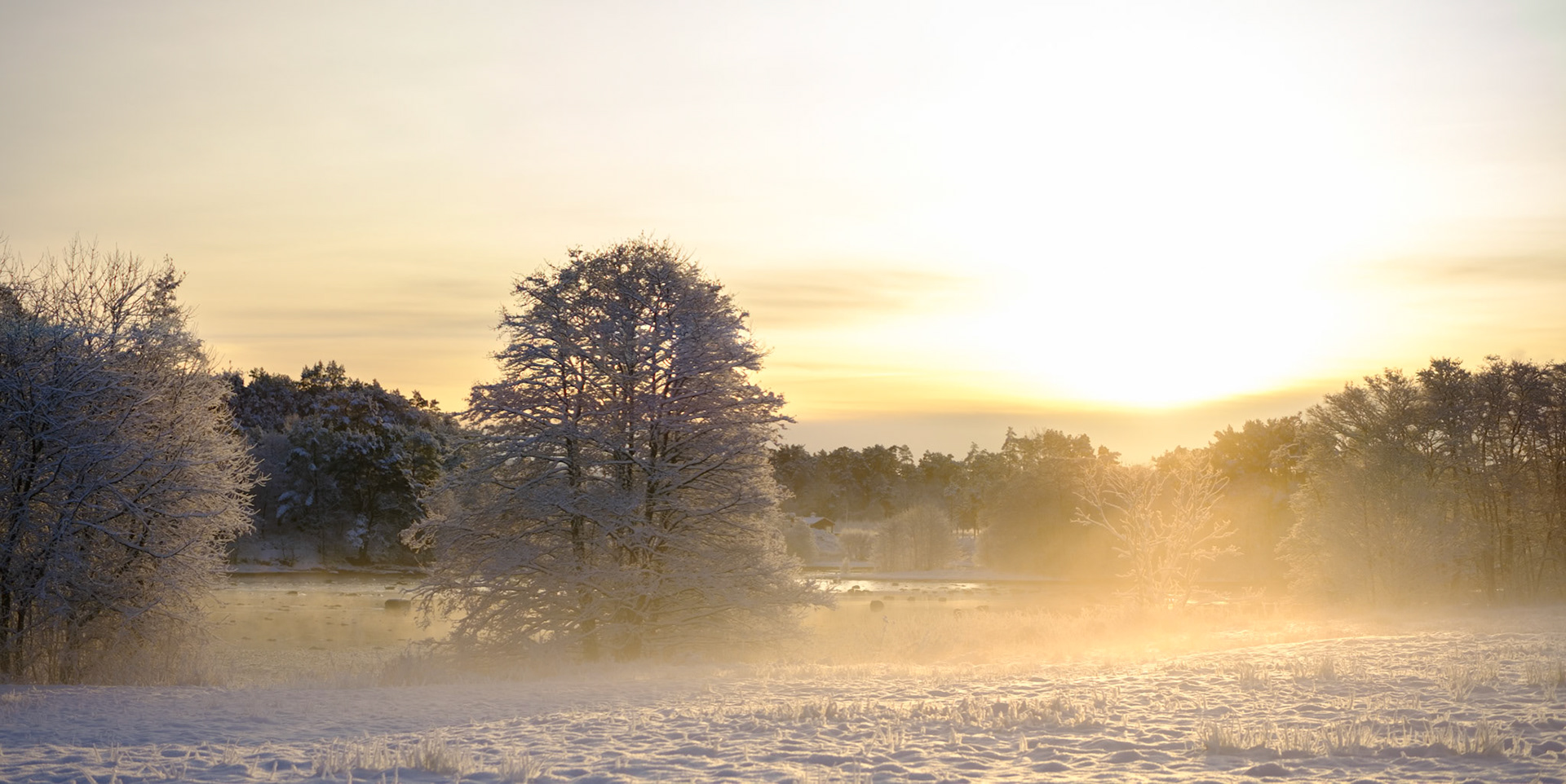 Anamorphic series no 24