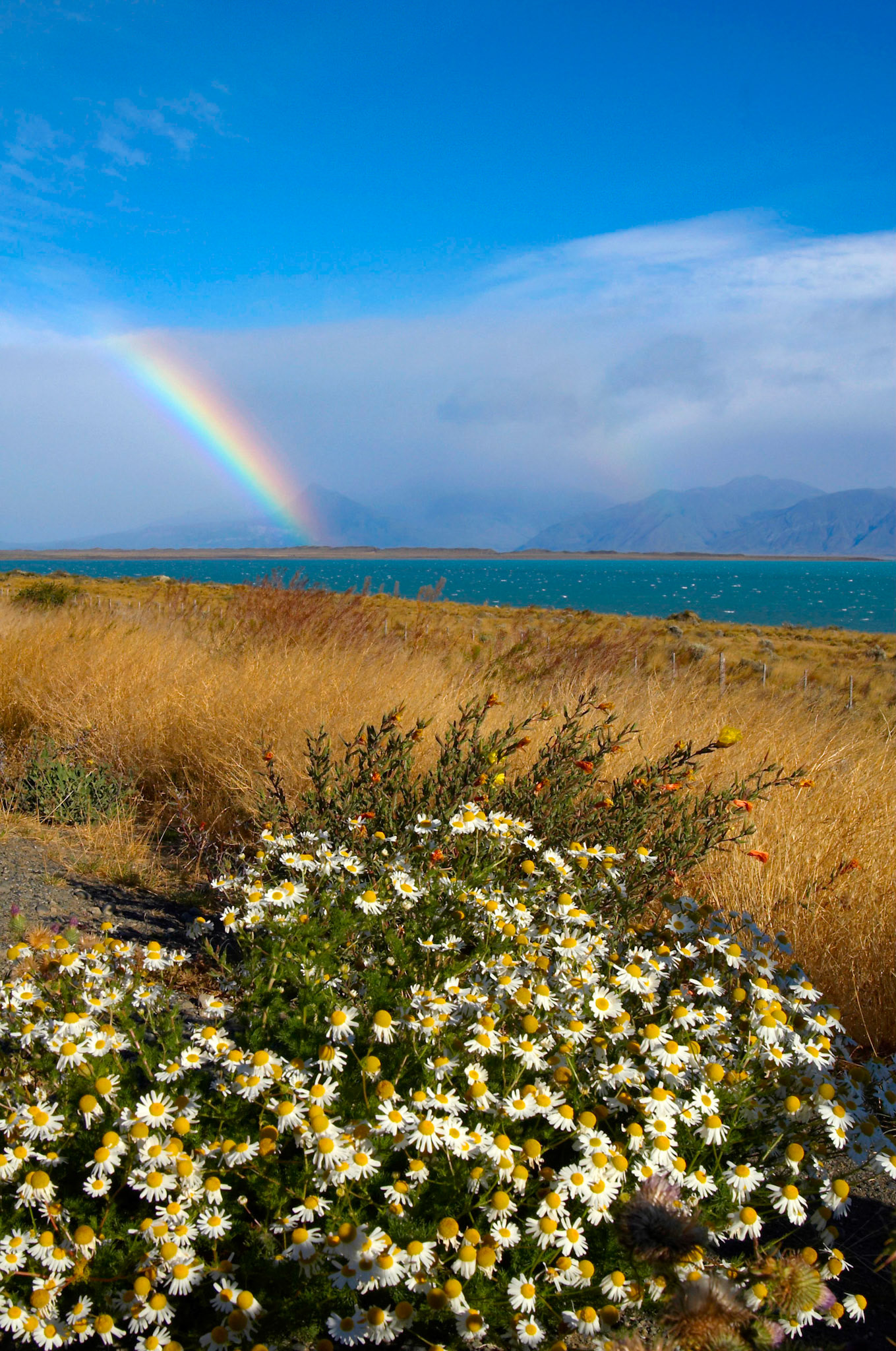 Patagonie, Lago Argentine