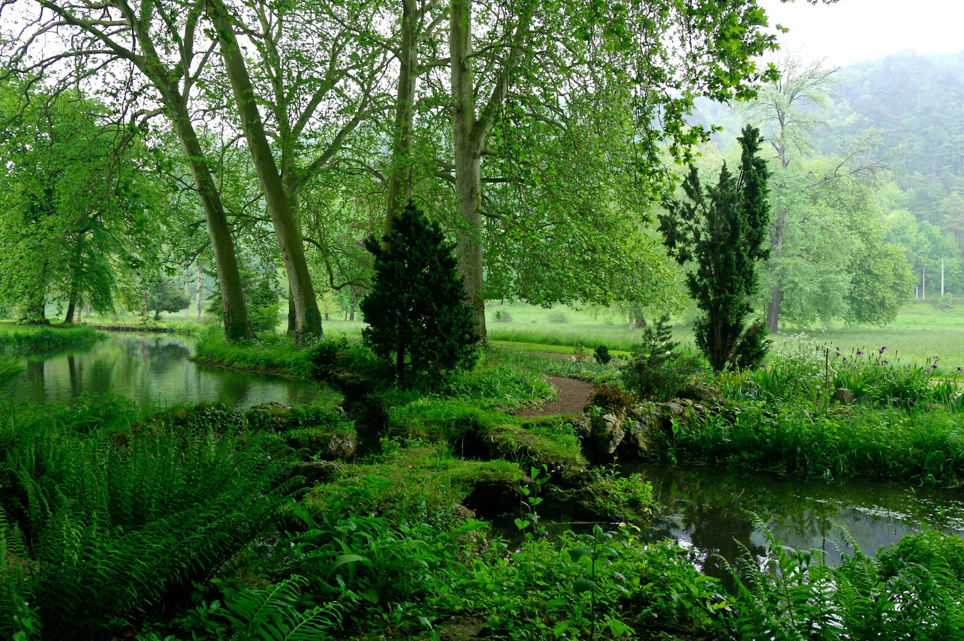 KONICA MINOLTA DIGITAL CAMERA