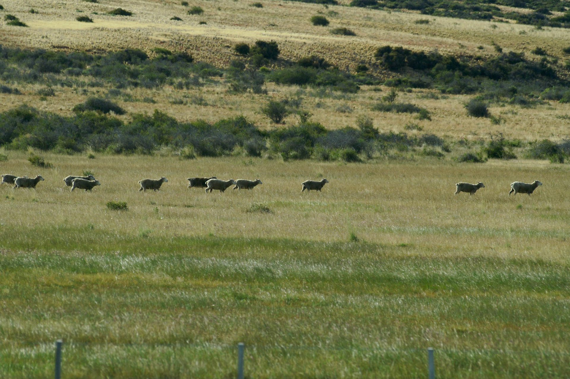 KONICA MINOLTA DIGITAL CAMERA