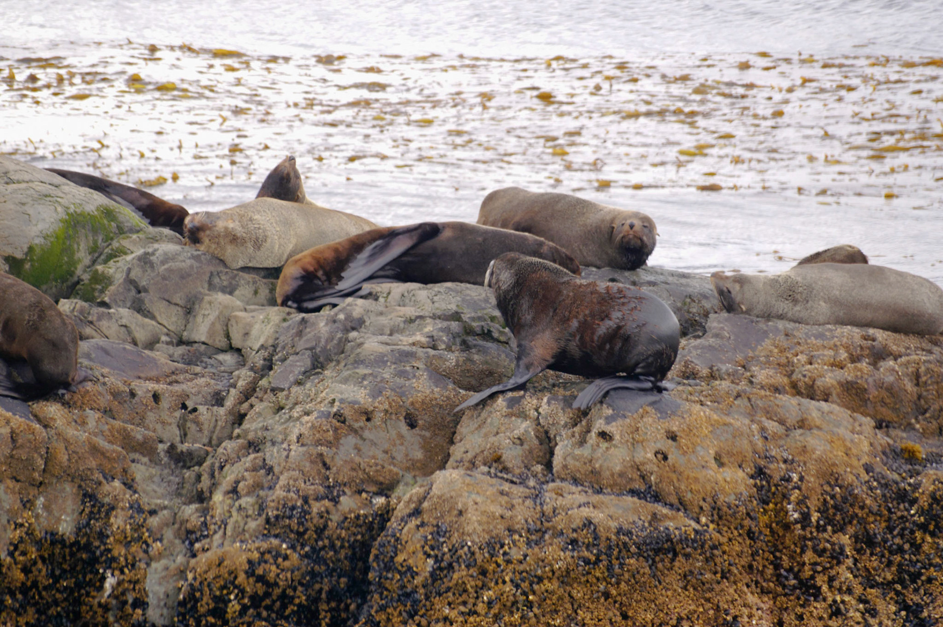 KONICA MINOLTA DIGITAL CAMERA